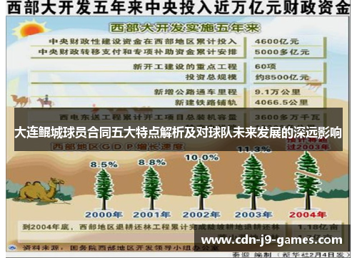 大连鲲城球员合同五大特点解析及对球队未来发展的深远影响
