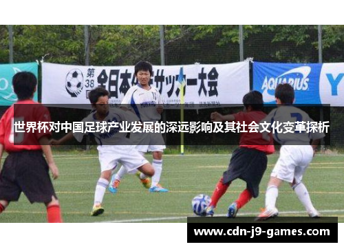 世界杯对中国足球产业发展的深远影响及其社会文化变革探析