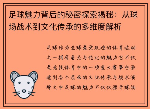 足球魅力背后的秘密探索揭秘：从球场战术到文化传承的多维度解析