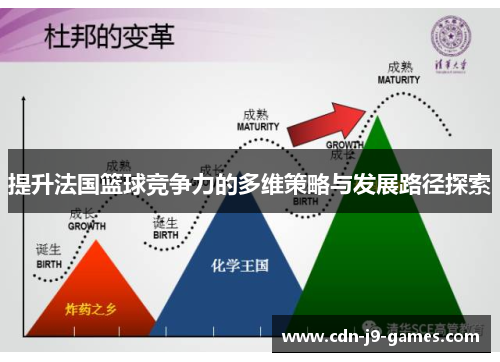 提升法国篮球竞争力的多维策略与发展路径探索 提升法国篮球竞争力的多维策略与发展路径探索